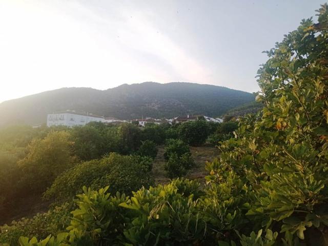 SE VENDE TERRENO EN ALGODONALES photo 0