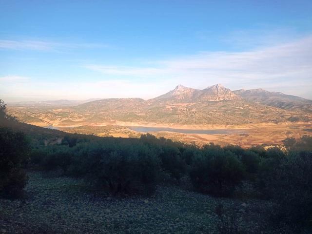 SE VENDE FINCA RUSTICA EN ZAHARA DE LA SIERRA photo 0