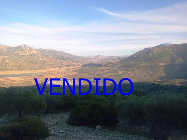 SE VENDE FINCA RUSTICA EN ZAHARA DE LA SIERRA photo 0