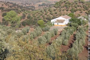 SE VENDE FINCA CON CORTIJO photo 0