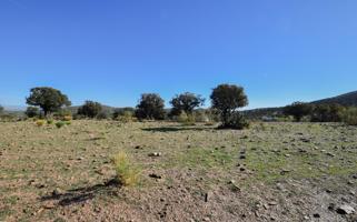 Finca en termino municipal de Lugros. photo 0