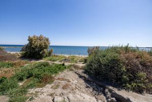 Finca de recreo con invernadero junto a la playa photo 0