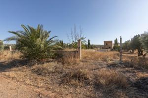 4000 metros de Terreno rústico con casa de más de 250m para reformar, piscina y zona para cuadra de caballos - Inscrito en RegistroE photo 0