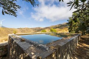 🌿 FINCA EN VENTA EN LANJARÓN – PRODUCCIÓN DE ACEITE Y ENTORNO PRIVILEGIADO 🌿 photo 0