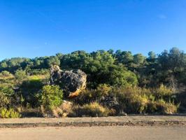 ¡Oportunidad única! Parcela urbana con proyecto listo para construir photo 0