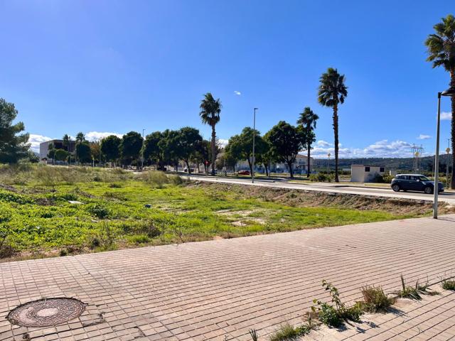 PARCELA A LA VENTA EN ALBERIQUE photo 0
