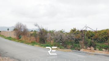 TERRENO EN ALMARDA PARA UBICAR TU CASA MADERA !! photo 0