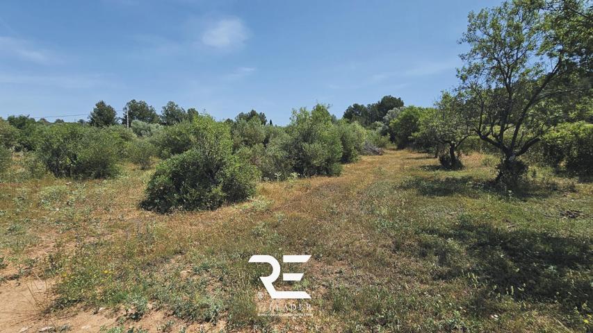 VENTA DE 3 PARCELAS AGRUPADAS CON POSIBILIDAD DE CONSTRUIR UNA VIVIENDA UNIFAMILIAR !! photo 0