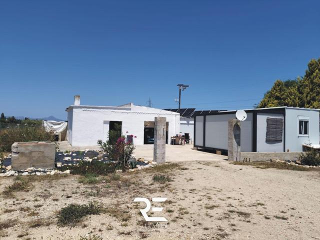 VENTA DE UN CONJUNTO DE TRES PARCELAS UNIFICADAS SITUADAS A 1 KILÓMETRO DE LA PLAYA OLIVA NOVA !! photo 0