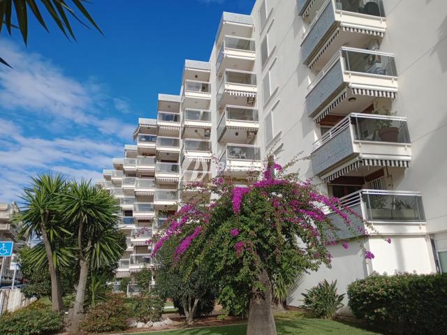 Apartamento 2 dormitorios junto al Paseo Jaime I photo 0