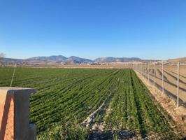 FINCA DE REGADIO photo 0