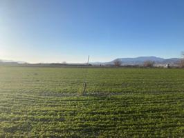 FINCA DE REGADIO photo 0