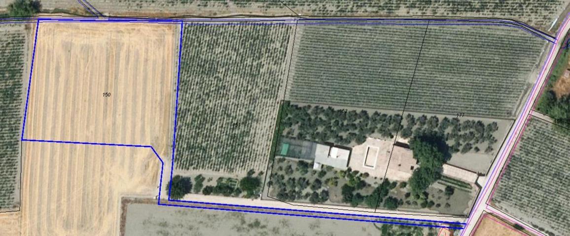 FINCA DE REGADIO photo 0