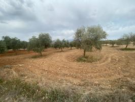 Finca de olivos cerca de Padul photo 0