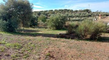 Magnífico solar en Nivar, junto a la montaña de 450m2. photo 0