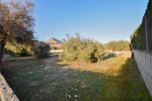 ¡Descubre el lugar perfecto para tu nuevo proyecto! photo 0
