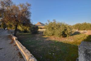 ¡Descubre el lugar perfecto para tu nuevo proyecto! photo 0