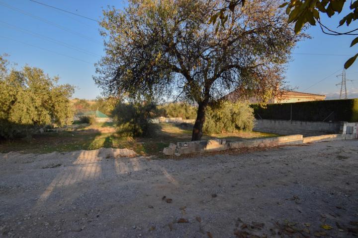 ¡Descubre el lugar perfecto para tu nuevo proyecto! photo 0