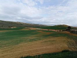 Estupenda finca en Cijuela photo 0