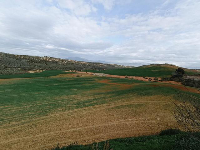 Estupenda finca en Cijuela photo 0