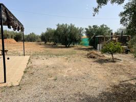 FINCA RÚSTICA photo 0