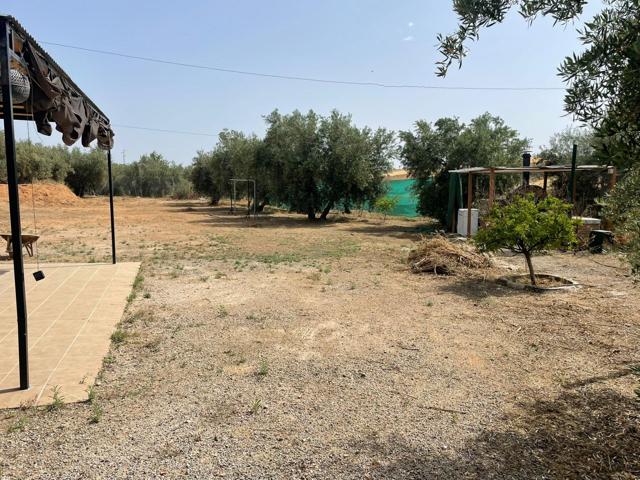 FINCA RÚSTICA photo 0