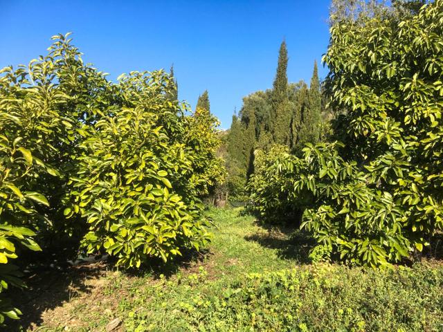 Finca Rústica en Lecrín, Granada photo 0