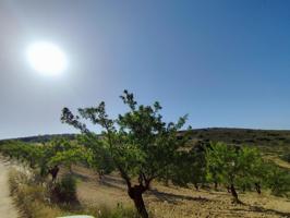 Finca Rústica en Arenas del Rey photo 0