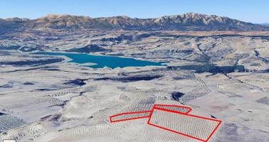 Oportunidad Única photo 0