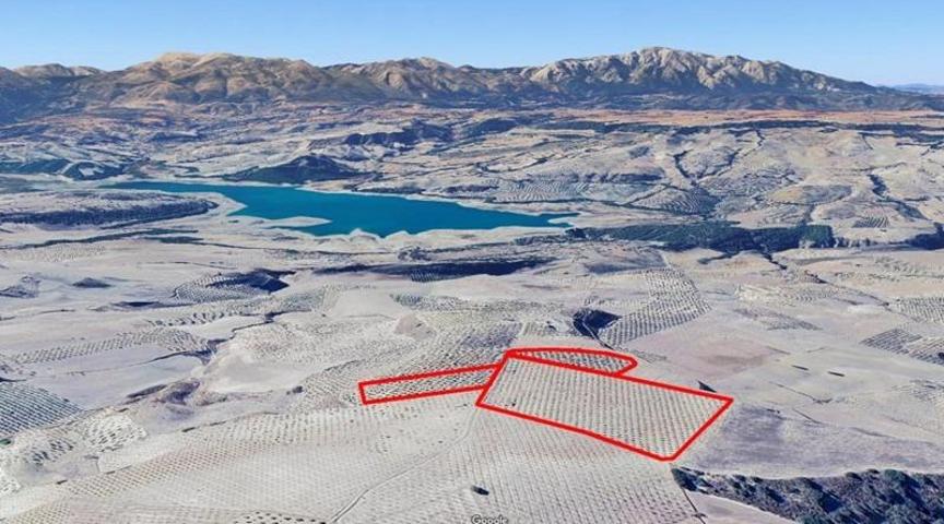 Oportunidad Única photo 0