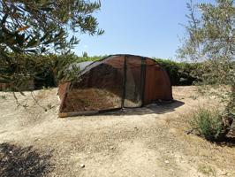 ¡Oportunidad única en Santa Fe! Casa de campo con amplio terreno y olivos legalizada photo 0