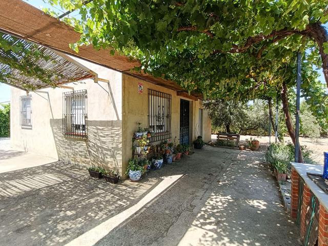 ¡Oportunidad única en Santa Fe! Casa de campo con amplio terreno y olivos legalizada photo 0
