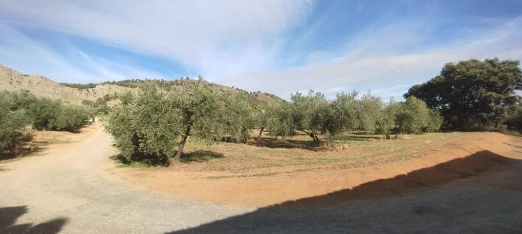 Oportunidad en Albolote photo 0