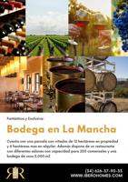 Fantastica y exclusiva Bodega en La Mancha photo 0