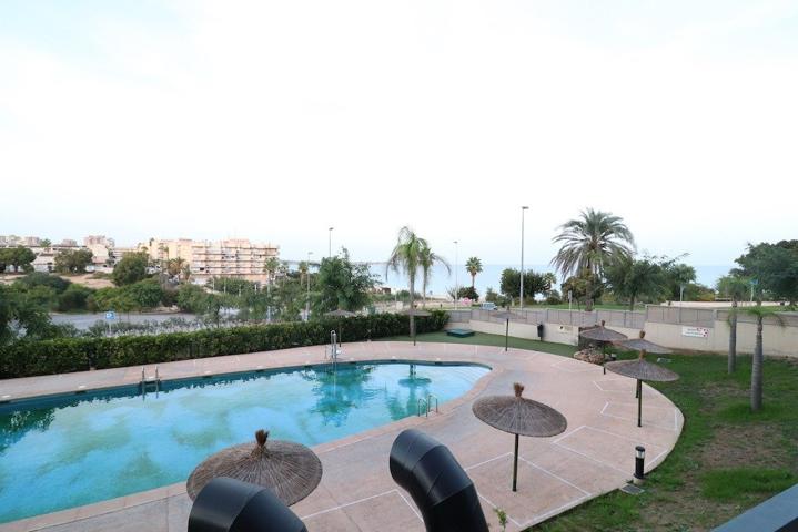 Mil Palmeras, apartamento 1 dormitorio. photo 0