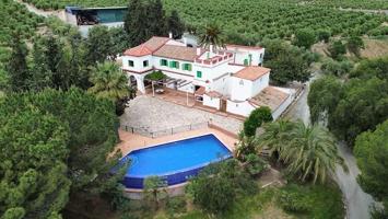 Finca Olivar Ecológica en Venta (Murcia, España) photo 0