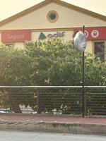 REF: 08613 .- VIVIENDA EN SAGUNTO JUNTO ESTACIÓN DE TREN - PARA REFORMAR Y SIN ASCENSOR photo 0