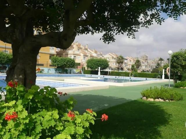 Apartamento en Playa de La Mata, piscina comunitaria photo 0
