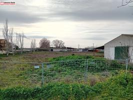Terreno Industrial-Logístico en Venta –Torrejón de la calzada photo 0
