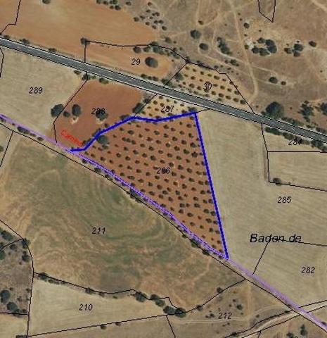 Parcela de 13.882 m² para Explotación Fotovoltaica o Agraria- venta o alquiler photo 0