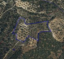 Parcela Rústica de 14.587 m² con Potencial para Energía Solar- venta o alquiler photo 0