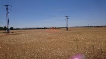 SE VENDE FINCA RUSTICA DE 44.000 M2  A 5 MINUTOS DE ALBACETE. photo 0