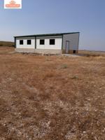 TERRENO EN VENTA EN CRTRA CASAS DE JUAN NUÑEZ A POZO LORENTE CON ALMENDROS Y OLIVOS photo 0