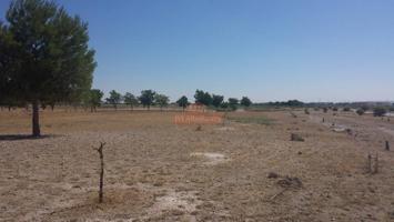 TERRENO RUSTICO EN ZONA LAS PERDICES, CARRETERA JAEN photo 0