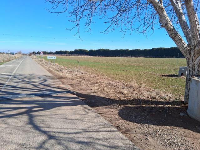 ¡¡¡ OPORTUNIDAD!!!! SE VENDEN 4 HECTAREAS DE RIEGO photo 0