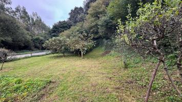 PARCELAS RUSTICAS EN MAOÑO-SANTA CRUZ DE BEZANA photo 0