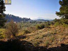 TERRENO RUSTICO DE 16200 m2 EN ALTEA LA VELLA photo 0