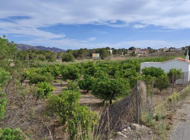 Finca rústica en La Nucía photo 0