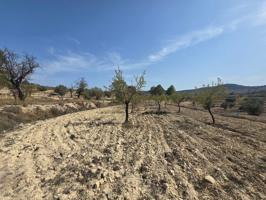 Terreno Urbanizable En venta en Comunidad Valenciana, Relleu photo 0