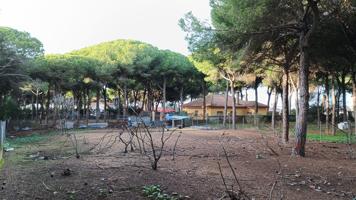¡Se Vende Parcela Proindivisa en el Camino Viejo de Rota! photo 0